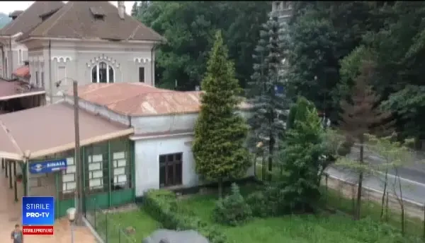 Proiect controversat la Sinaia. Primăria vrea să defrișeze o pădure, ca să facă o parcare