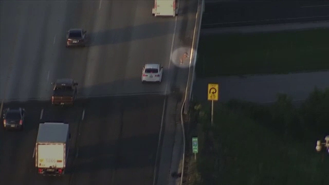 Aventură ca în filme pentru un cățel din SUA. Cum a fost filmat din elicopter