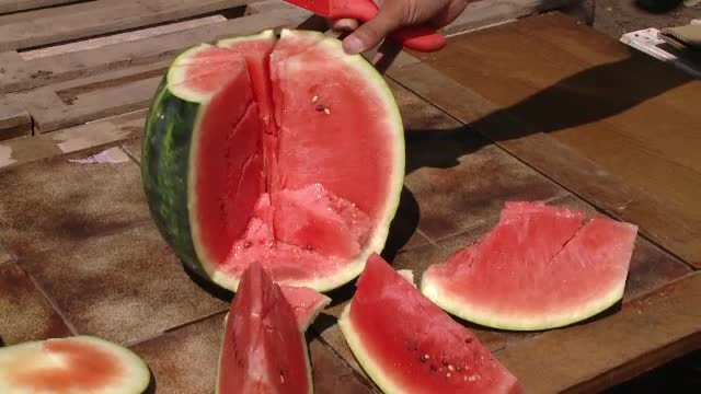 Fermierii din România renunță să mai cultive pepeni. Învinși de vreme și de samsari