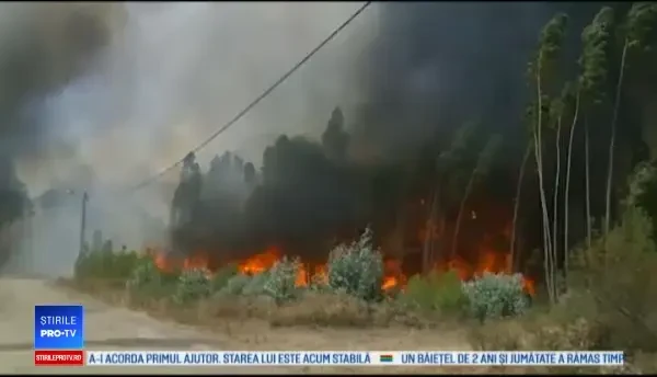 1000 de pompieri și armata se luptă cu incendiile de pădure din Portugalia