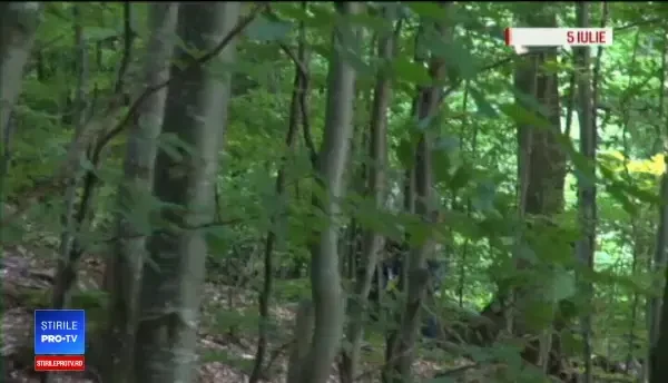 ”Primiți ursul sau îl împușcăm?” Cu un singur gest, turiștii condamnă animalele pe viață