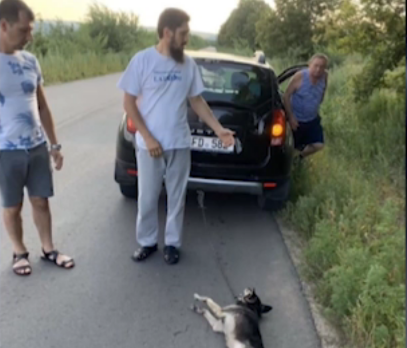 Preotul care stropise o lesbiană cu agheasmă a legat acum un câine de maşină şi l-a târât