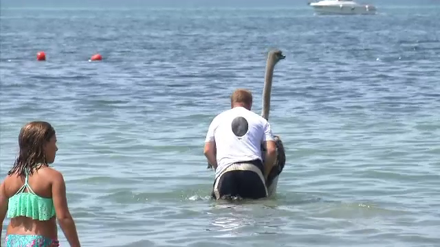 Cum a intrat un bărbat în mare şi de ce s-au adunat toţi turiştii în jurul lui