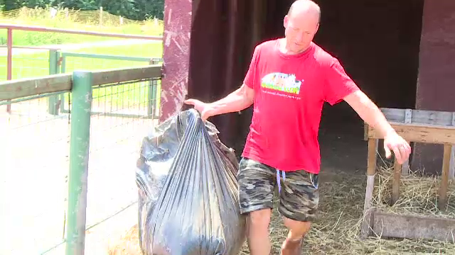 Românii aduc lână din Italia și Turcia. Cum s-a ajuns în această situație