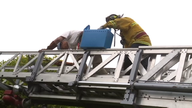 Alertă într-un oraș din SUA din cauza unui animal agresiv. Un pompier a fost rănit