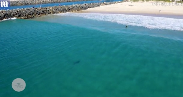 Ce a surprins o dronă în timp ce doi copii se jucau în apă. Reacţia celor care au văzut clipul