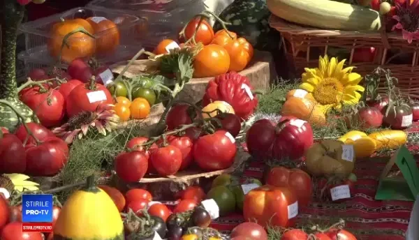 Festivalul roşiilor, la Buzău. Soiurile care nu ajung niciodată în magazine