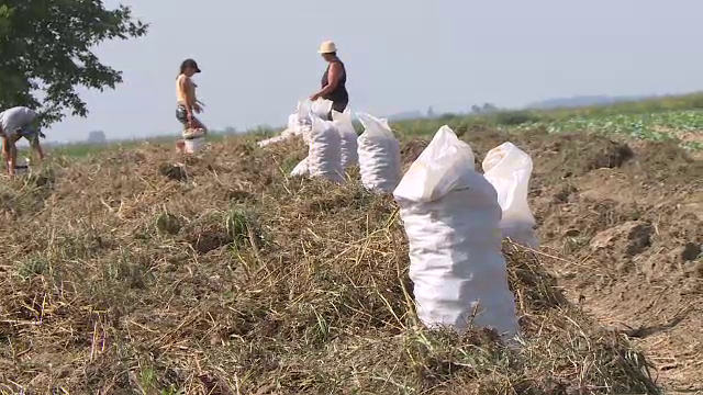 Casa de Comenzi Unirea, 20 de milioane de euro pentru planul grandios al lui Daea