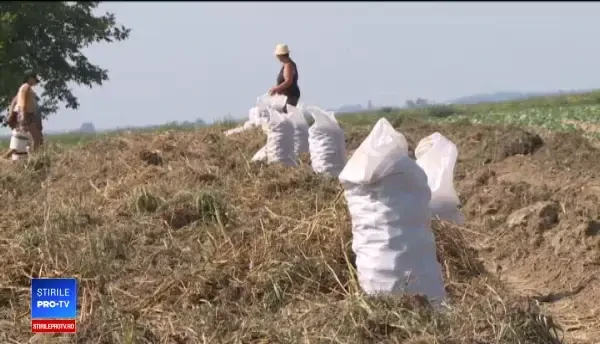 Casa de Comenzi Unirea, 20 de milioane de euro pentru planul grandios al lui Daea