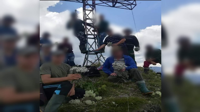 S-au ales cu dosare penale dupa ce au postat pe Facebook. Ce au surprins in imagini