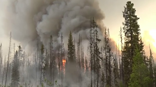 Stare de urgență în Siberia. Incendiile de vegetație au cuprins 3 milioane de hectare