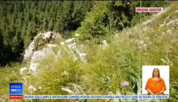 S-au ales cu dosare penale după ce au postat pe Facebook. Ce au surprins în imagini