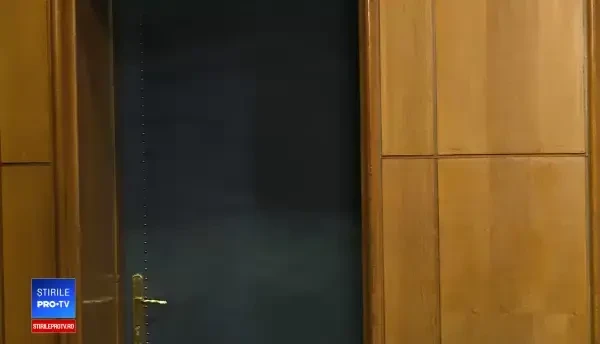 Dăncilă cere convocarea Parlamentului: "Declar război împotriva criminalității"