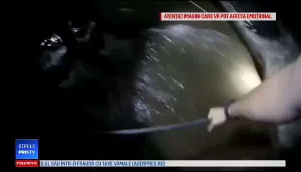Momentul în care doi tineri sunt salvați dintr-un râu, chiar înainte să se înece