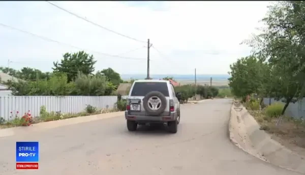 Mistreții din sudul și estul țării, unde există focare de pestă porcină, vor fi împușcați