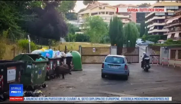Roma, în pragul unei epidemii din cauza gunoaielor. Autoritățile învinuiesc turiștii