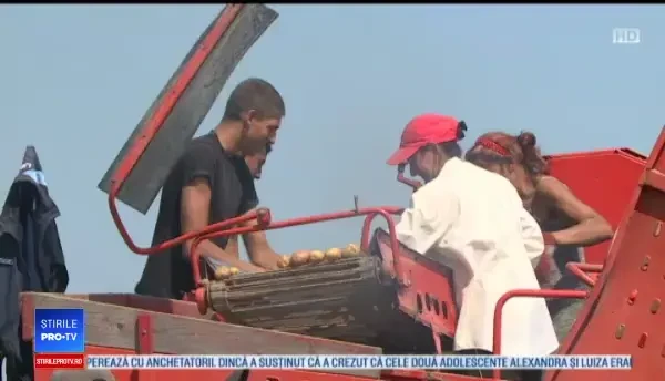 Generaţia ”nouă” de producători agricoli a României. Cum s-au adaptat fermierii