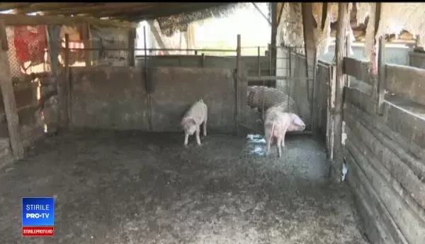 Premierul bulgar a făcut declarații controversate la adresa ţării noastre. Replica României