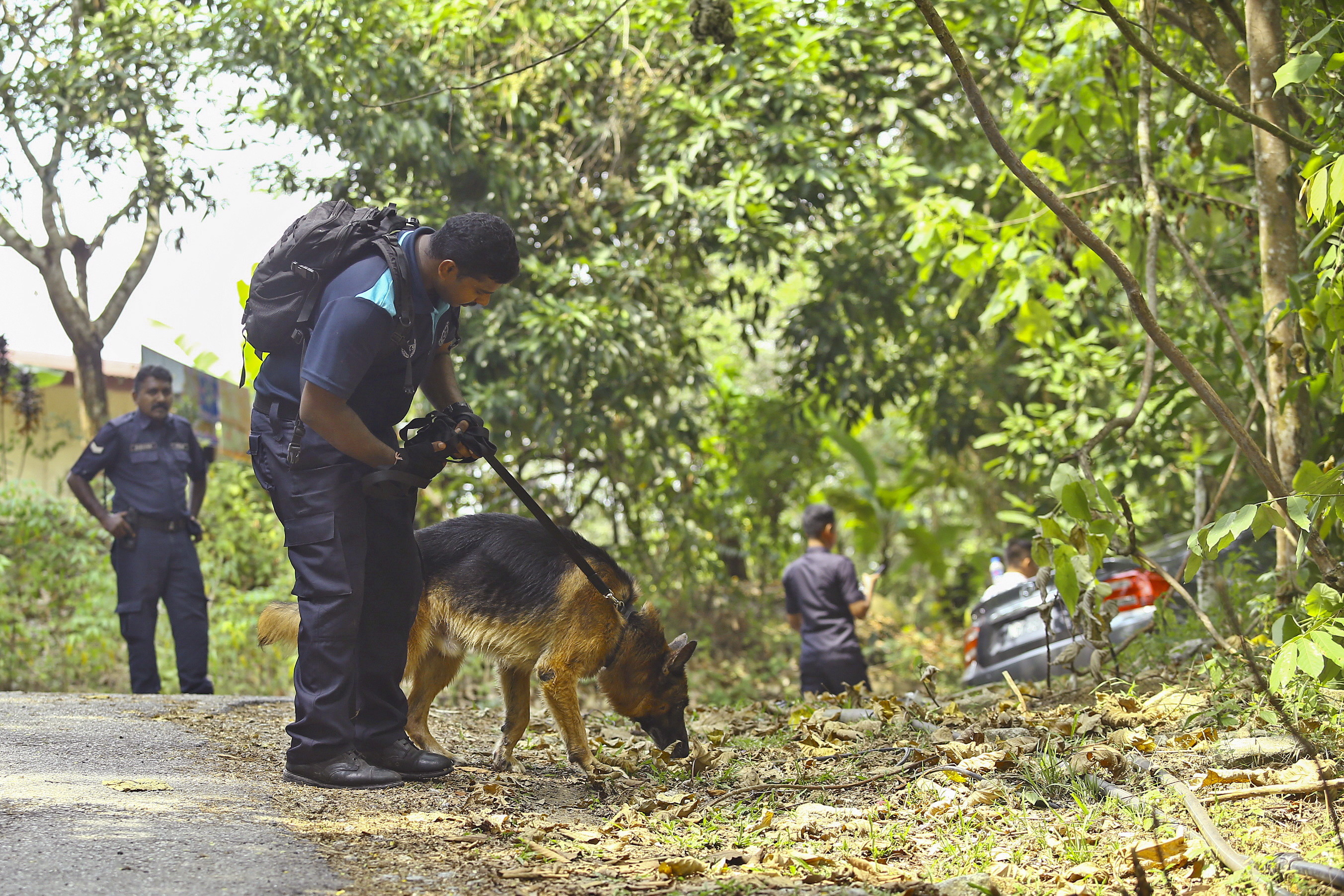 Riscă închisoarea din cauza unui mesaj pe Twitter legat de moartea adolescentei Nora Quoirin