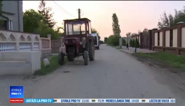 Pesta porcină continuă să le facă probleme sătenilor: "Stăm cu frica în sân"