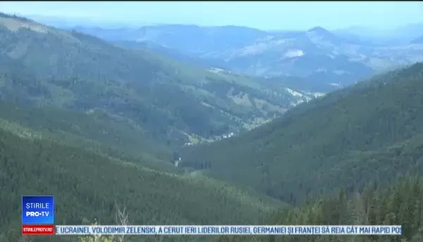 Fenomenul care afectează comportamentul viperelor. Avertisment pentru turiști