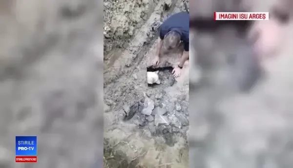 Pompierii piteșteni au intervenit pentru salvarea unui câine captiv într-un canal