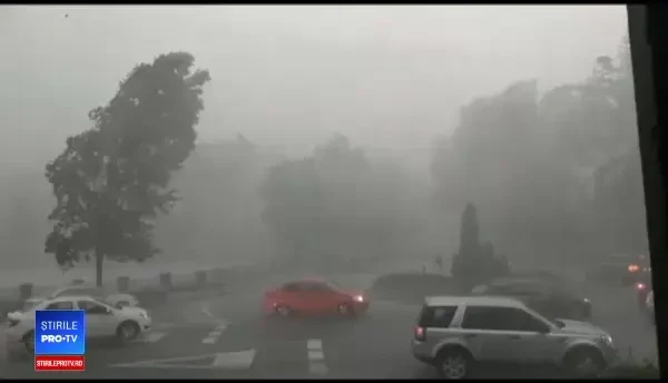 Vijelii și viituri în mai multe județe din țară. Copaci rupți și străzi inundate