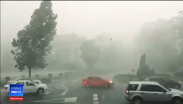 Vijeliile au făcut prăpăd în țară. Momentul în care un copac cade peste o mașină