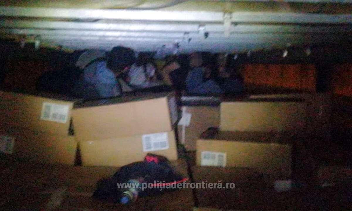 Familii de irakieni, aduse în România în cutii de carton. Unde voiau de fapt să ajungă