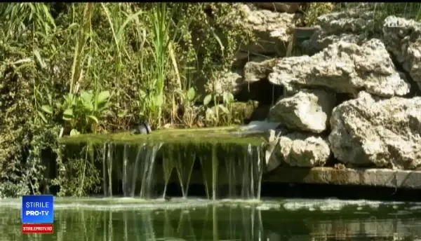 Oazele de liniște din jurul Capitalei. Cum arată casa care l-a fascinat pe Ed Sheeran