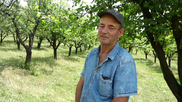 Vremea capricioasă a afectat și producția de țuică. ”O să fiu terminat total”