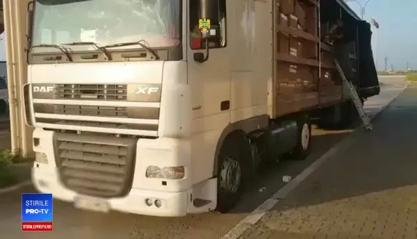 Captură de 2,5 milioane euro, la frontieră. Ce ascundea un şofer în spatele şerveţelelor