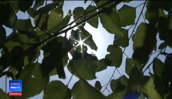 Val de aer tropical în România. O tânără însărcinată a leșinat în Gara de Nord
