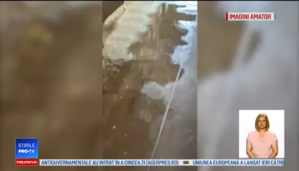 Secretul periculos din spatele teraselor din Brașov. Alimentele, depozitate lângă gunoaie