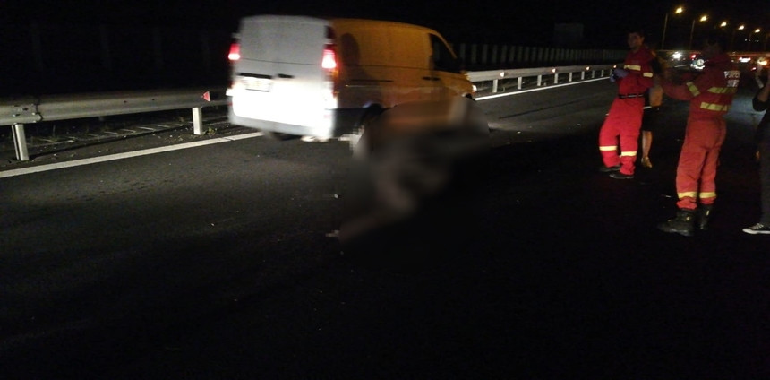 Urs lovit mortal de 4 mașini, în Sibiu. Doi copii au făcut atac de panică