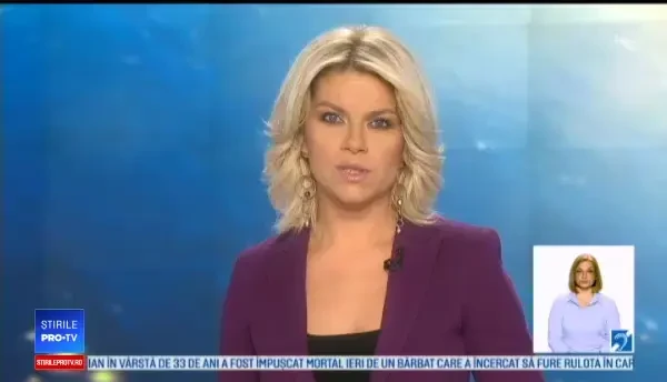 Urs lovit mortal de 4 mașini, în Sibiu. Doi copii au făcut atac de panică