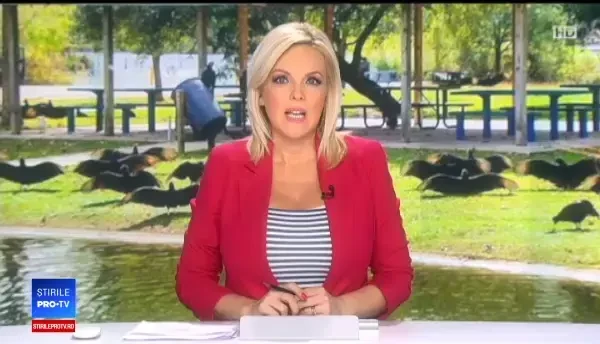 Câțiva americani din Florida nu-și pot folosi piscinele din cauza vulturilor. Au cerut ajutor