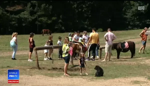 Calvarul întoarcerii acasă a celor care au fost la munte: ”Cu calul ajung mai repede”