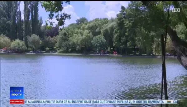 Horoscop 19 august 2019, prezentat de Neti Sandu. Balanțele își vor reface viața amoroasă