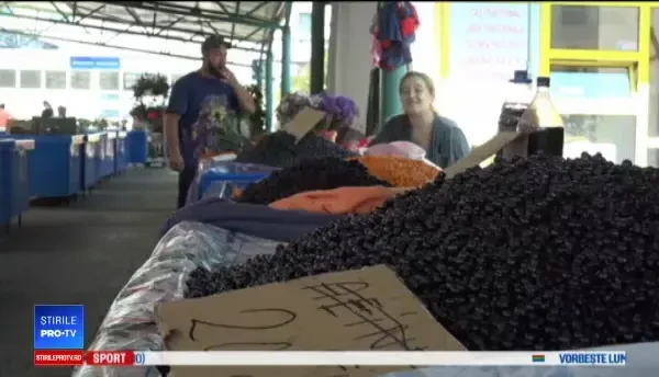 Fructele românești, pe mesele străinilor. Cât primesc culegătorii pe kilogram, la export