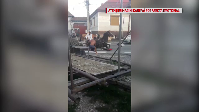 Imagini tulburătoare cu un cal prăbușit în mijlocul drumului. Ce au făcut trecătorii