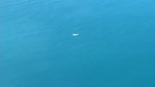 Pățania unor tineri care au vrut să facă o ședință foto în aer cu avionul abia cumpărat