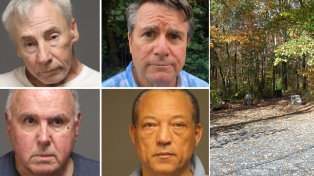 Șase persoane cu vârste între 62 și 85 de ani, prinse în public într-o „activitate sexuală”