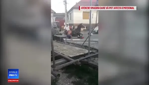 Imagini tulburătoare cu un cal prăbușit în mijlocul drumului. Ce au făcut trecătorii