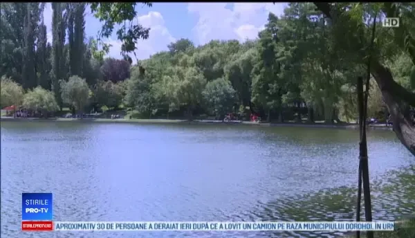 Horoscop 22 august 2019. Leii se trezesc cu bani în cont