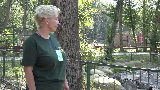 O femeie din Târgu Mureș are grijă de 55 de maimuţe. "Tot timpul ești băgat în priză"