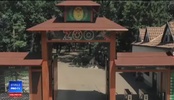 O femeie din Târgu Mureș are grijă de 55 de maimuţe. "Tot timpul ești băgat în priză"