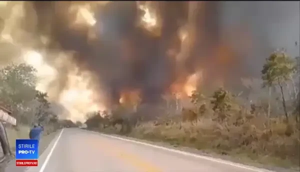 Pădurea Amazoniană arde. Proteste la ambasadele Braziliei din întreaga lume