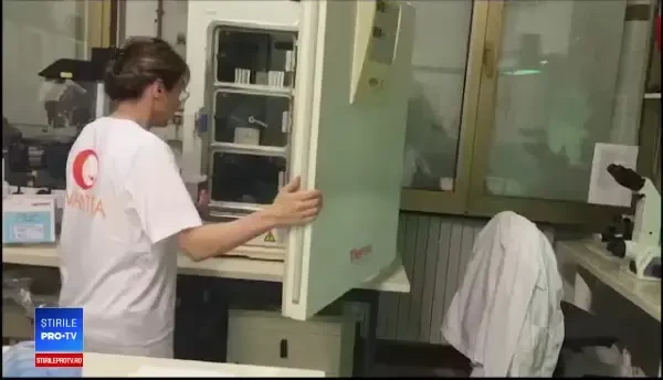 Rinocerii albi ar putea fi salvaţi, deşi mai există doar 2 femele. Soluţia cercetătorilor