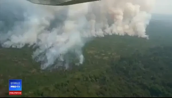 Brazilienii cer demiterea și arestarea preşedintelui pentru incendiile din Amazonia